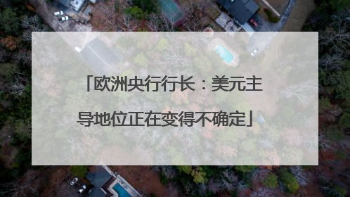 欧洲央行行长：美元主导地位正在变得不确定