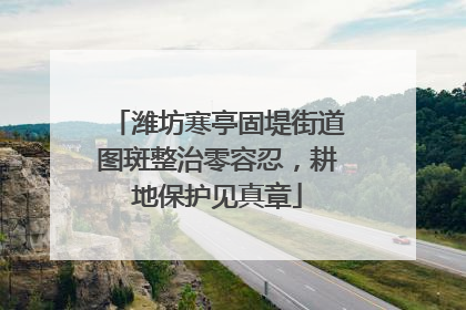 潍坊寒亭固堤街道图斑整治零容忍，耕地保护见真章