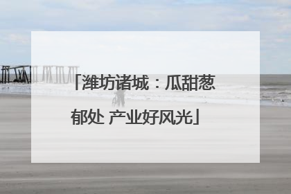 潍坊诸城：瓜甜葱郁处 产业好风光