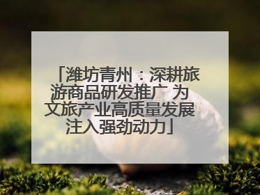 潍坊青州：深耕旅游商品研发推广 为文旅产业高质量发展注入强劲动力