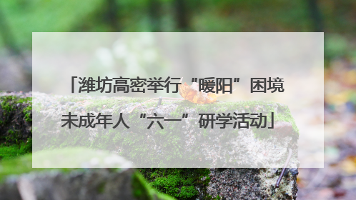 潍坊高密举行“暖阳”困境未成年人“六一”研学活动