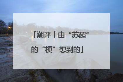 潮评丨由“苏超”的“梗”想到的