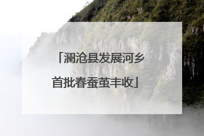 澜沧县发展河乡首批春蚕茧丰收