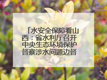 水安全保障看山西：省水利厅召开中央生态环境保护督察涉水问题边督边改工作推进会