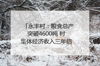 永丰村：粮食总产突破4600吨 村集体经济收入三年倍增｜牵挂的村