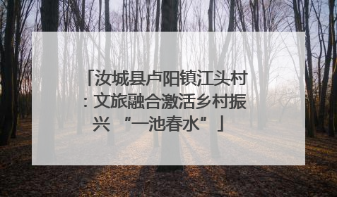 汝城县卢阳镇江头村：文旅融合激活乡村振兴 “一池春水”