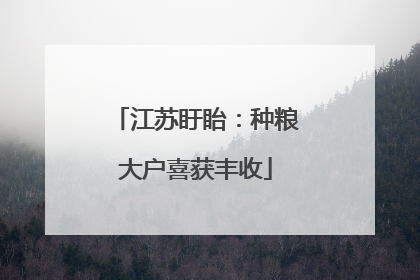 江苏盱眙：种粮大户喜获丰收