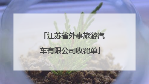 江苏省外事旅游汽车有限公司收罚单
