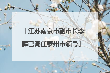 江苏南京市副市长李晖已调任泰州市领导