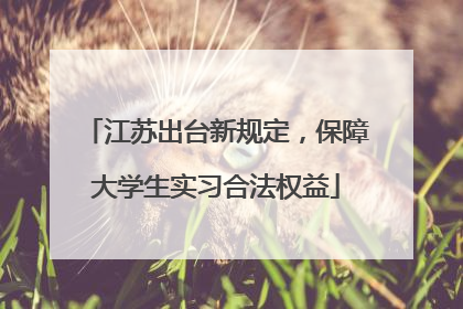 江苏出台新规定，保障大学生实习合法权益