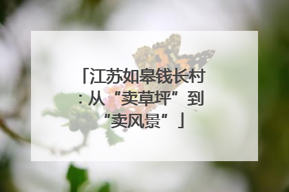 江苏如皋钱长村：从“卖草坪”到“卖风景”
