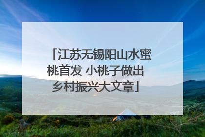 江苏无锡阳山水蜜桃首发 小桃子做出乡村振兴大文章