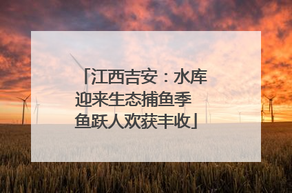 江西吉安：水库迎来生态捕鱼季 鱼跃人欢获丰收