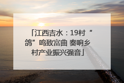 江西吉水：19村“鸽”鸣致富曲 奏响乡村产业振兴强音