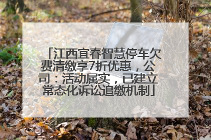 江西宜春智慧停车欠费清缴享7折优惠，公司：活动属实，已建立常态化诉讼追缴机制