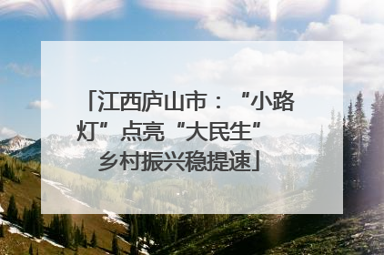 江西庐山市：“小路灯”点亮“大民生” 乡村振兴稳提速