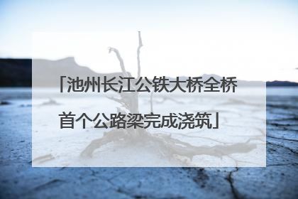 池州长江公铁大桥全桥首个公路梁完成浇筑