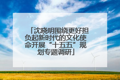 沈晓明围绕更好担负起新时代的文化使命开展“十五五”规划专题调研