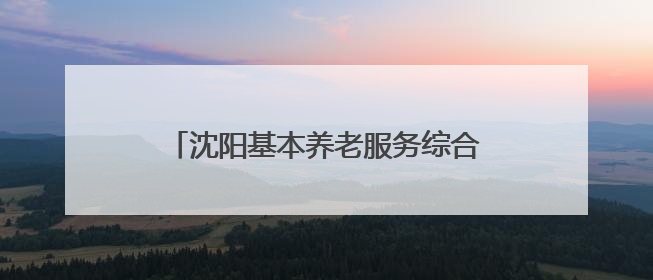沈阳基本养老服务综合平台“盛情康养”上线