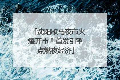沈阳歇马夜市火爆开市！首发引擎点燃夜经济