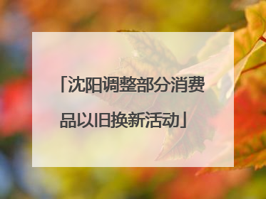 沈阳调整部分消费品以旧换新活动