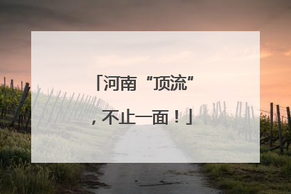 河南“顶流”，不止一面！