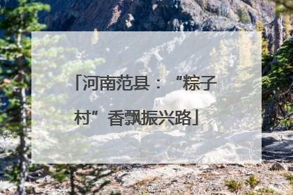 河南范县：“粽子村”香飘振兴路