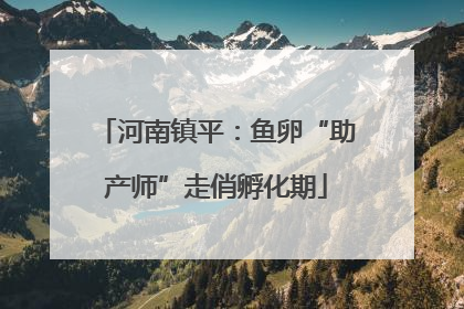 河南镇平：鱼卵“助产师”走俏孵化期