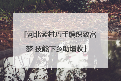 河北孟村巧手编织致富梦 技能下乡助增收