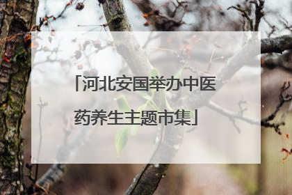 河北安国举办中医药养生主题市集