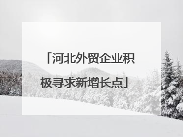 河北外贸企业积极寻求新增长点