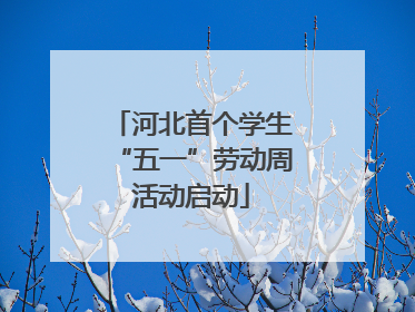 河北首个学生“五一”劳动周活动启动