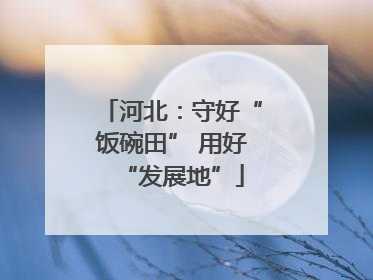 河北：守好“饭碗田” 用好“发展地”