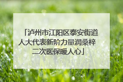 泸州市江阳区泰安街道人大代表新阶力量润桑梓 二次医保暖人心
