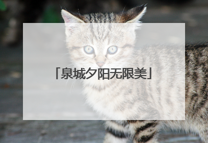 泉城夕阳无限美
