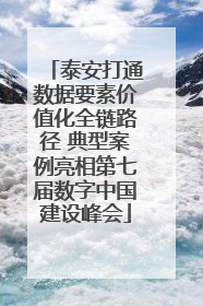 泰安打通数据要素价值化全链路径 典型案例亮相第七届数字中国建设峰会