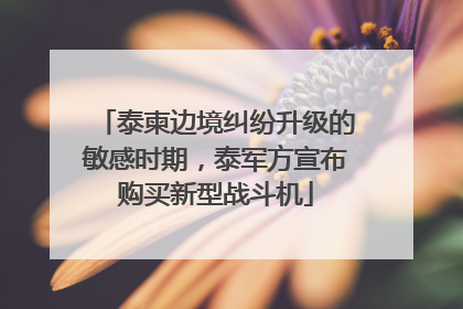 泰柬边境纠纷升级的敏感时期，泰军方宣布购买新型战斗机