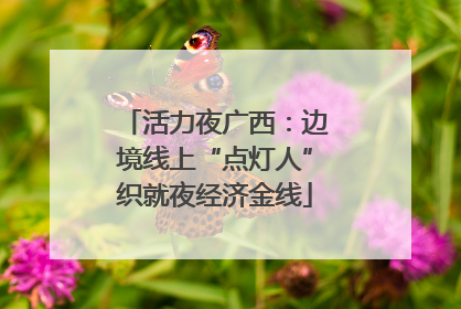 活力夜广西：边境线上“点灯人”织就夜经济金线