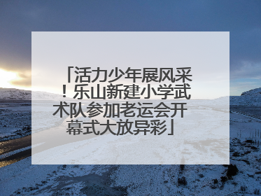 活力少年展风采！乐山新建小学武术队参加老运会开幕式大放异彩