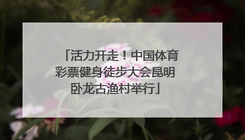 活力开走！中国体育彩票健身徒步大会昆明卧龙古渔村举行