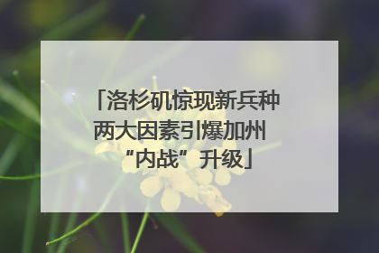 洛杉矶惊现新兵种 两大因素引爆加州“内战”升级