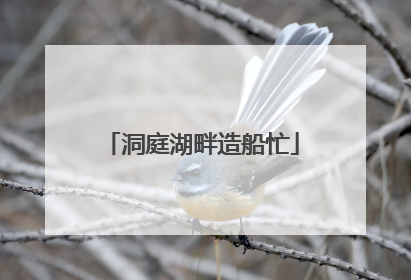 洞庭湖畔造船忙