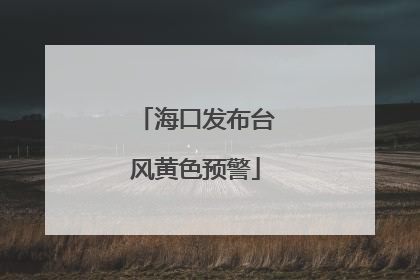 海口发布台风黄色预警
