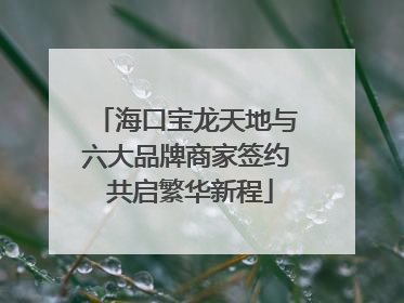 海口宝龙天地与六大品牌商家签约 共启繁华新程