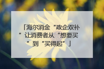 海尔消金“政企双补”让消费者从“想要买”到“买得起”