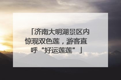 济南大明湖景区内惊现双色莲，游客直呼“好运莲莲”