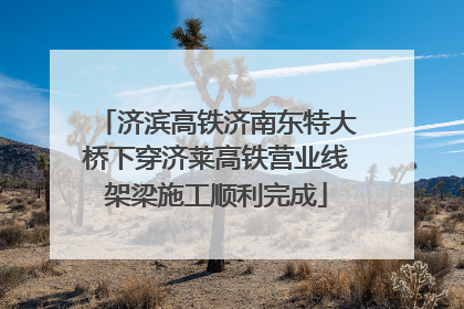 济滨高铁济南东特大桥下穿济莱高铁营业线架梁施工顺利完成