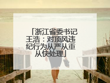 浙江省委书记王浩：对顶风违纪行为从严从重从快处理