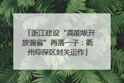 浙江建设“高能级开放强省”再落一子：衢州综保区封关运作