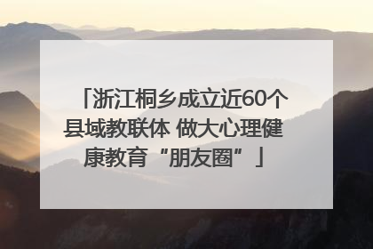 浙江桐乡成立近60个县域教联体 做大心理健康教育“朋友圈”
